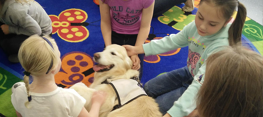PAWs Pet Therapy