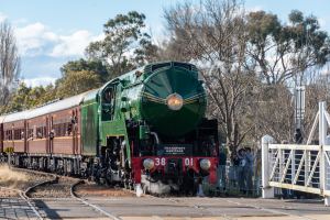 Rotary at Thirlmere Festival of Steam 